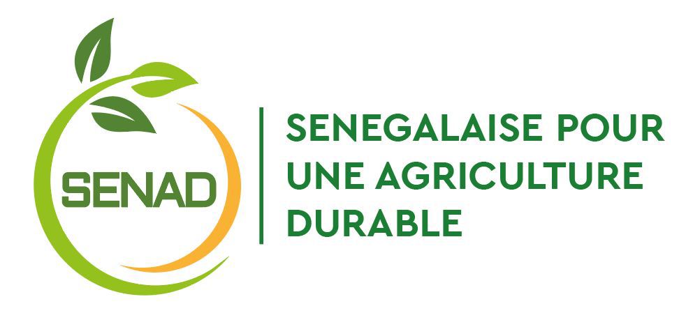 Logo SENAD